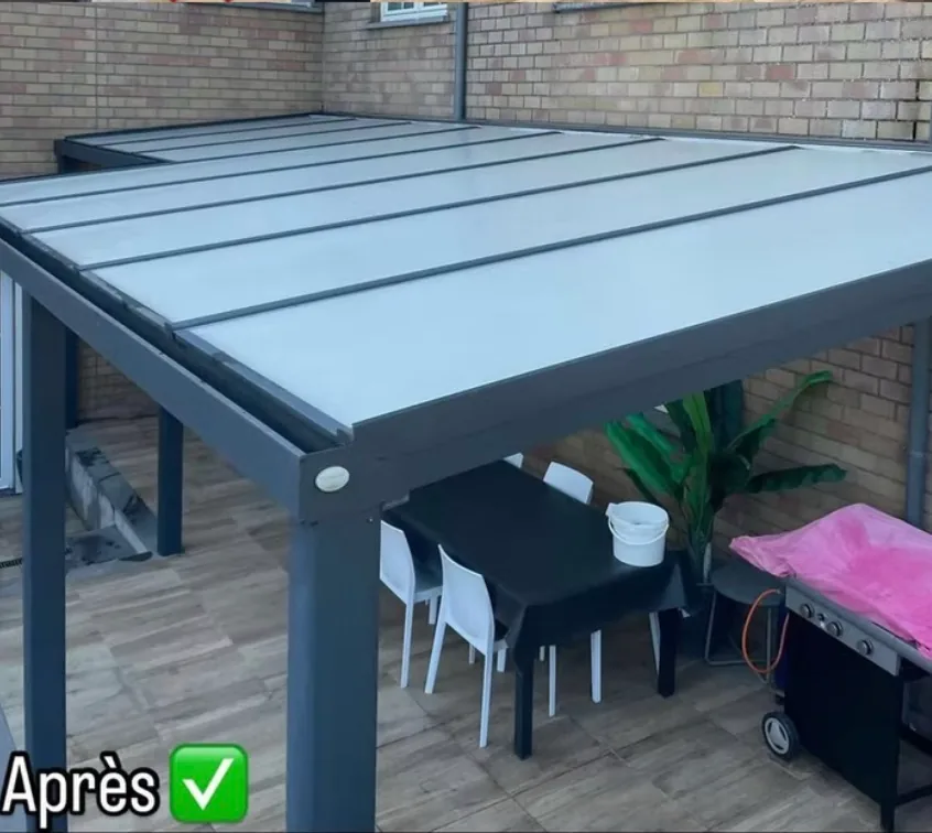 Pergola avant nettoyage